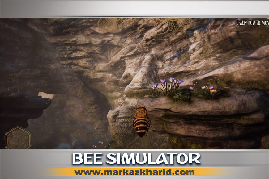 جزئیات و بررسی بازی PS4 شبیه ساز زنبور عسل به نام Bee Simulator