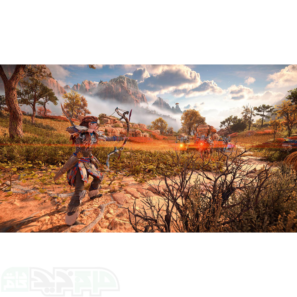 دیسک بازی Horizon Forbidden West برای PS4