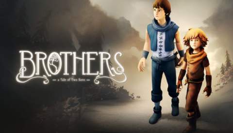 Brothers : A tale of two sons